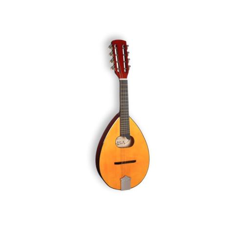 Saiteninstrumente Mandoline